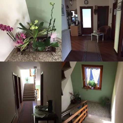 Albergo Viola B&B