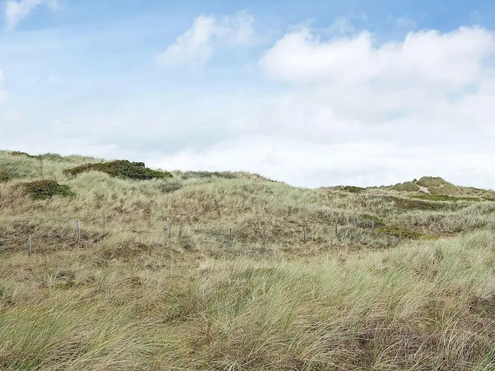 4 Person Holiday Home in Skagen
