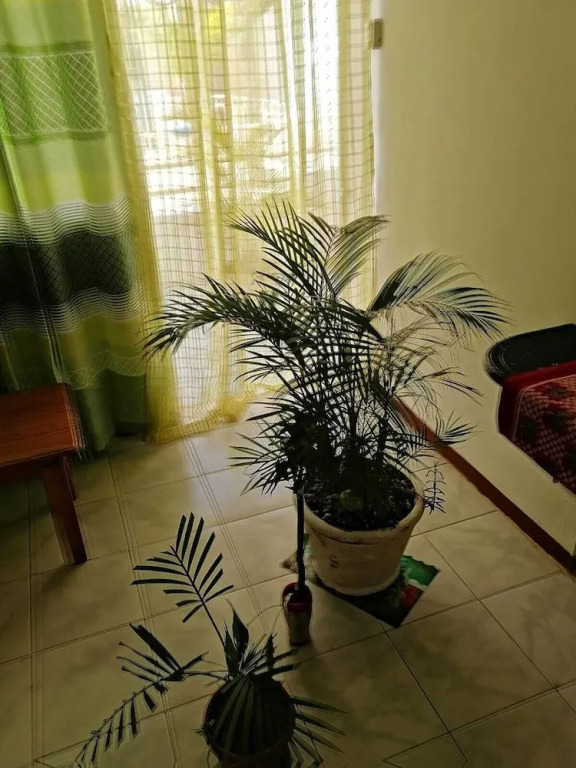 Roommate for rent in flic en flac