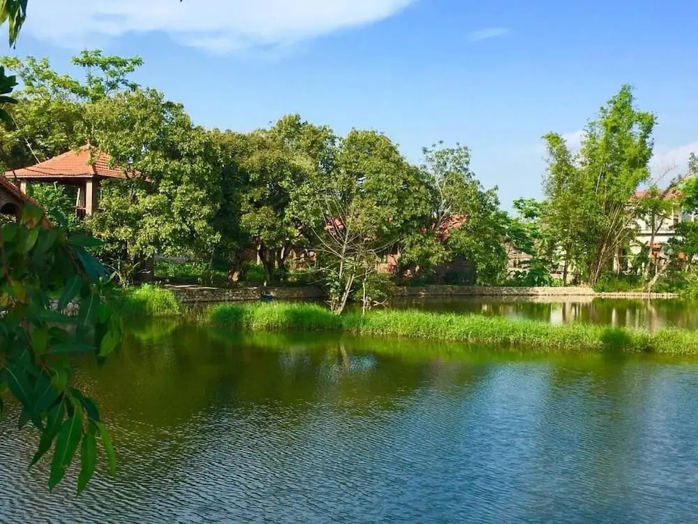 Dinh Gia Home