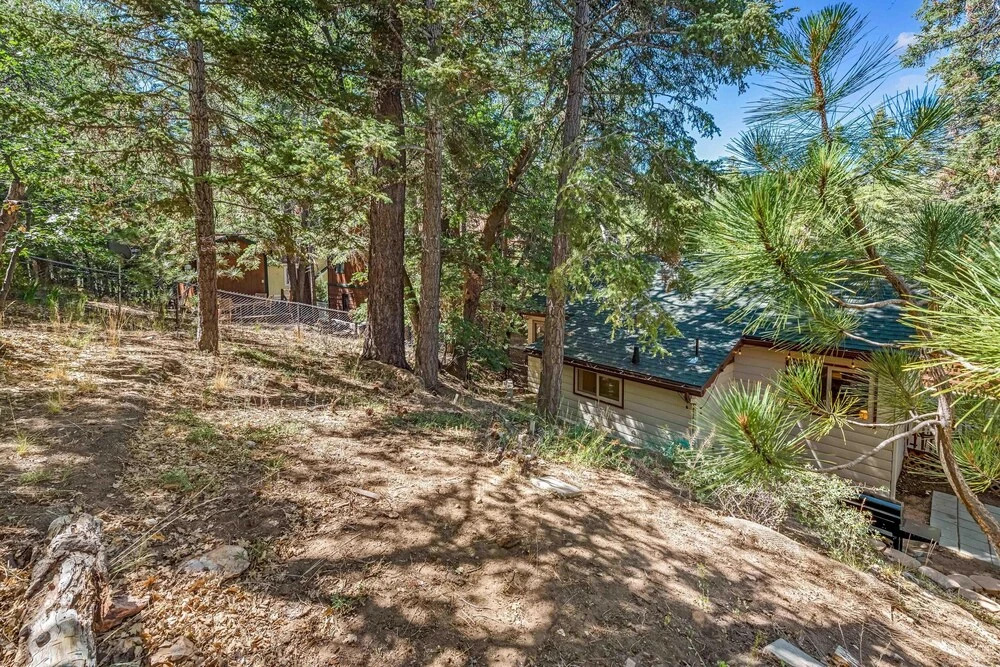 103 - Bow Canyon Escape