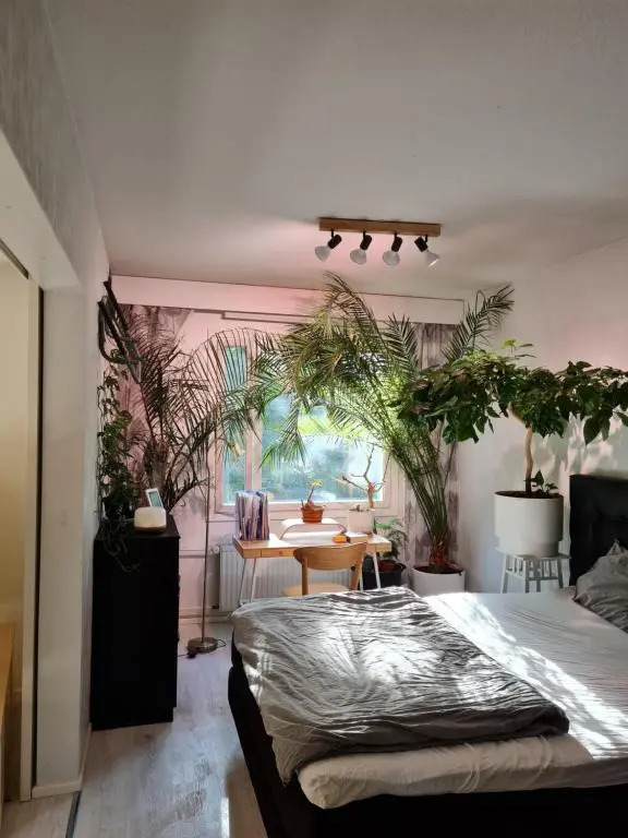 Paradise apartment