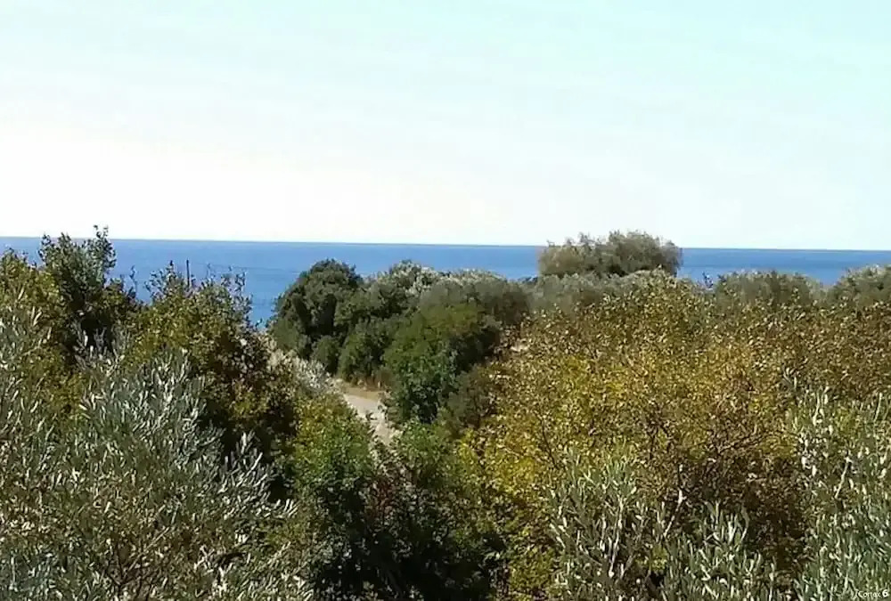 Amazing Cottage Close From the sea - Crete