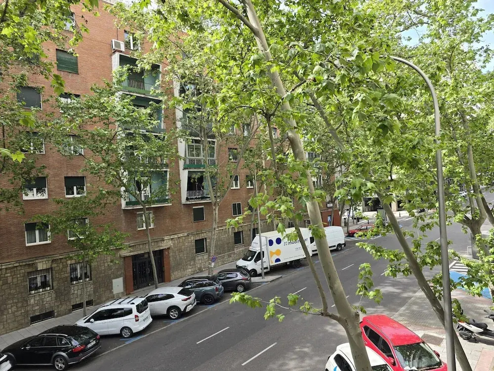 M Ore461 Piso de 1 Dormitorio y Balc n -alquiler