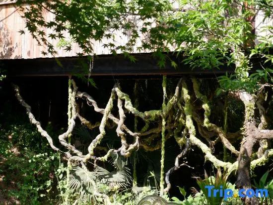 Zhuyinxing · Muyun Valley Stream Swing Boutique Inn