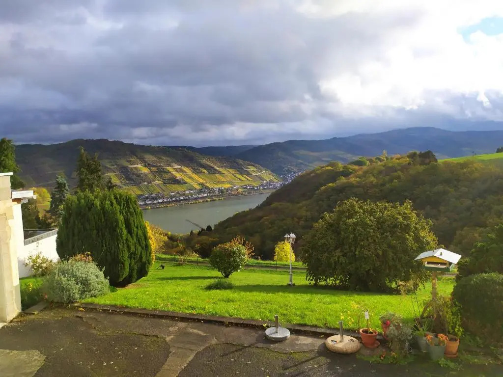 Schau-Rhein#1 - On top of Bacharach, Rhineview