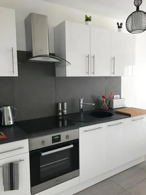 Roanne-centre appartement