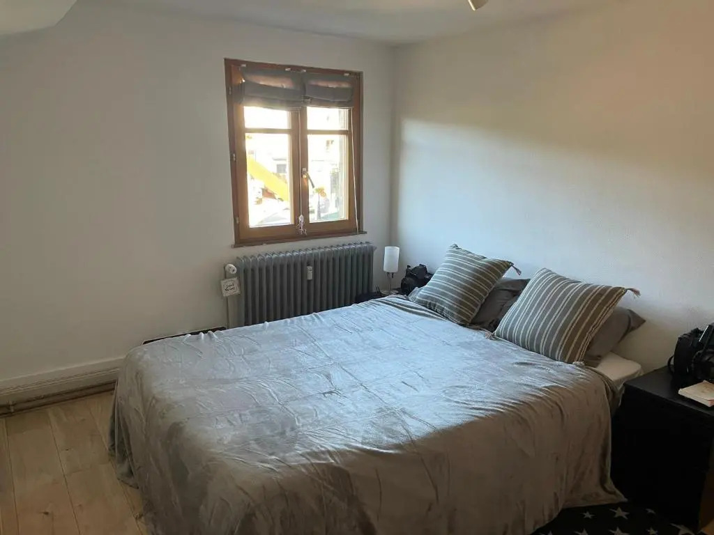 Appartement 3 pieces centre du Hohwald # 201