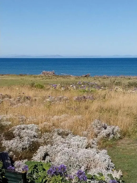 Rarangi Seaview On The Beach