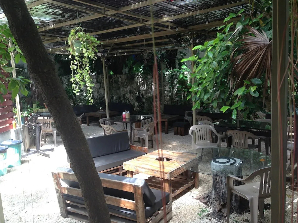 Casa MayaPlant