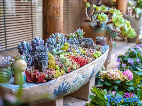 TaiShidi Think House garden