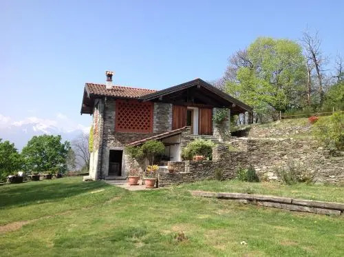 Il Ciliegio Selvatico
