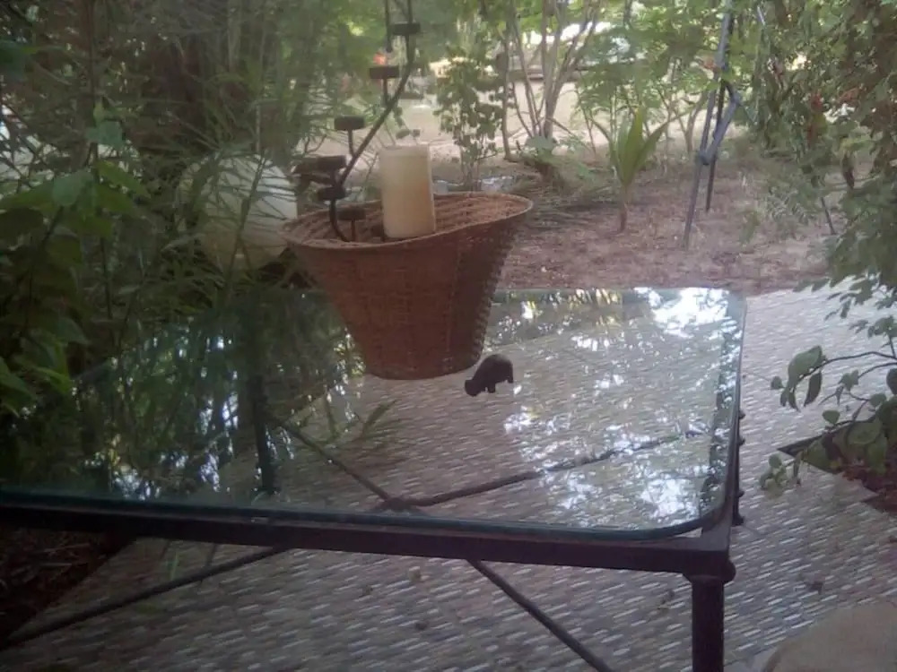 Cottage Sleeps 6 with Private Patios