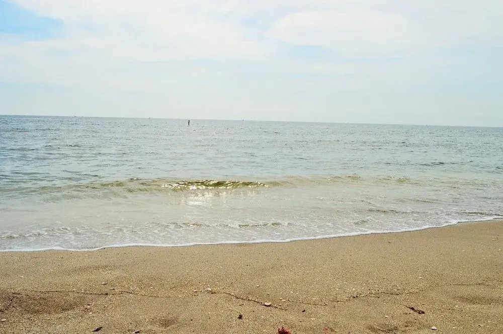 Real Estate Gizmo Vacation Rentals
