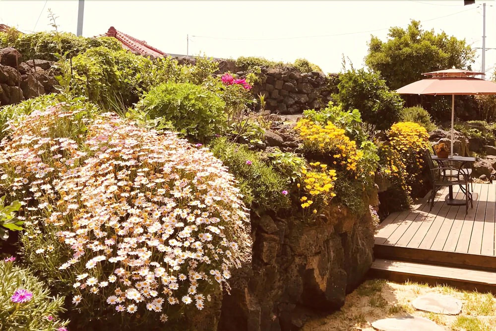 Jeju Dalda House Pension