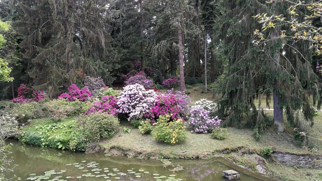 Hotel Tulipan Pruhonice