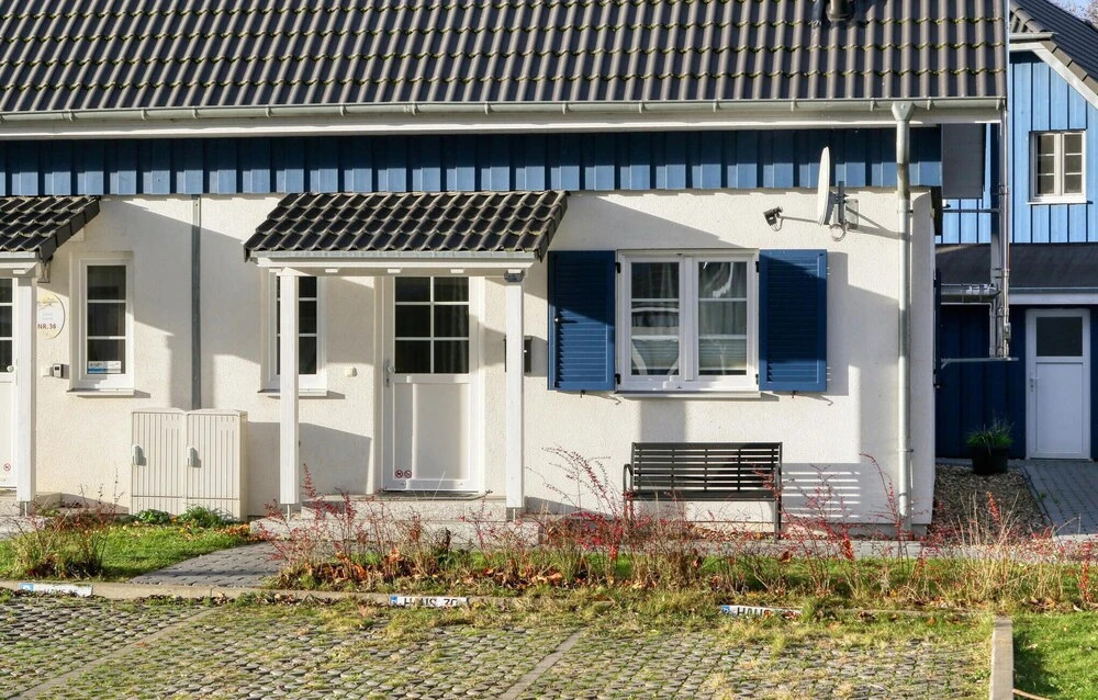 Seemöwe