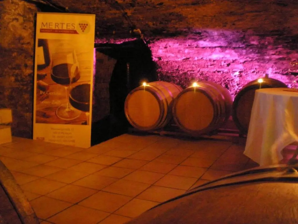 Holiday Home Weingut Mertes