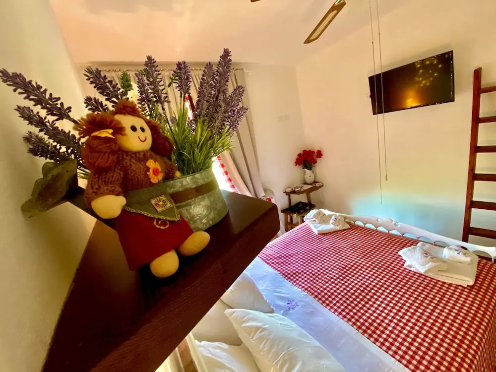 B&B La Lavanda