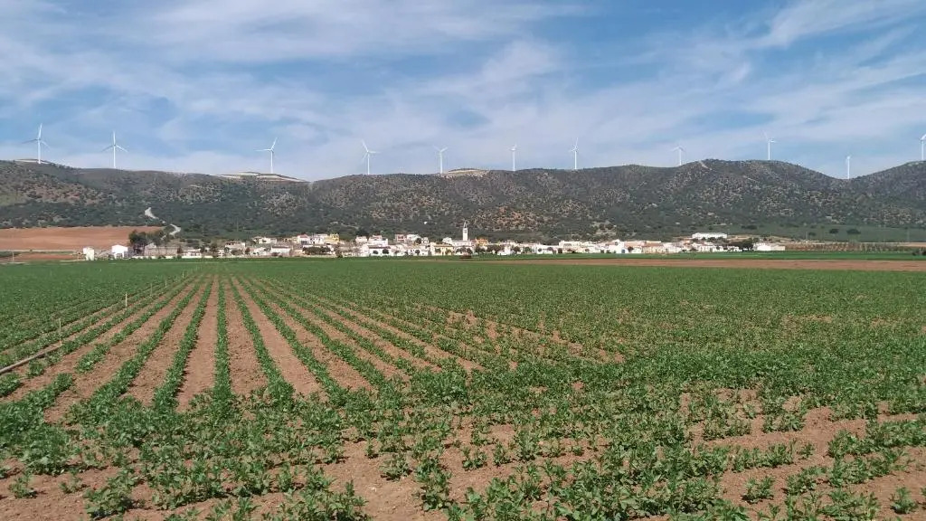 Posada Ana Ponce