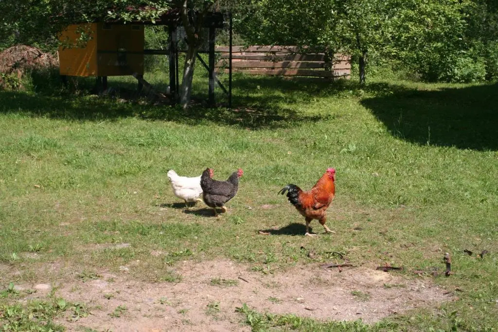 Upes dižvietas