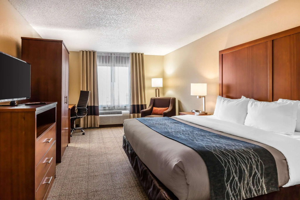 Comfort Inn & Suites Airport-American Way