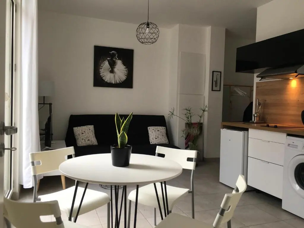 Appartement calme,lumineux ,coeur culturel deTOURS