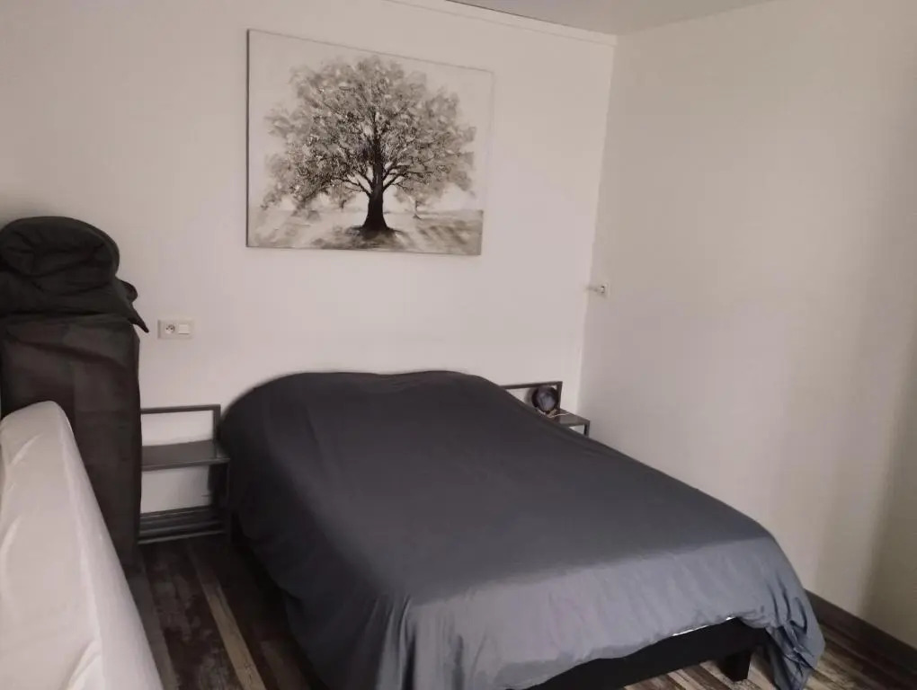 Moissac Charmant Appartement avec Jardin