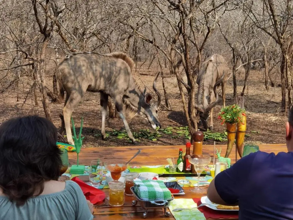 Wielewaal Bush Lodge
