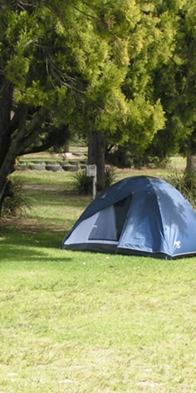 Scamander Tourist Park