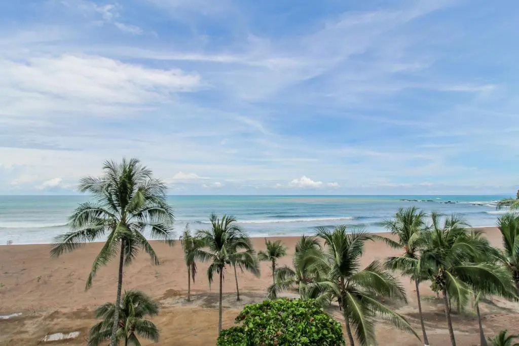 The Palms 504