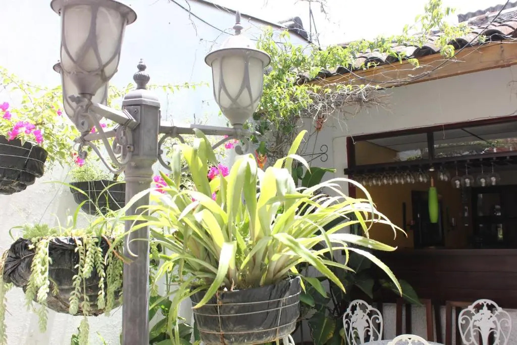Hotel Tazumal House