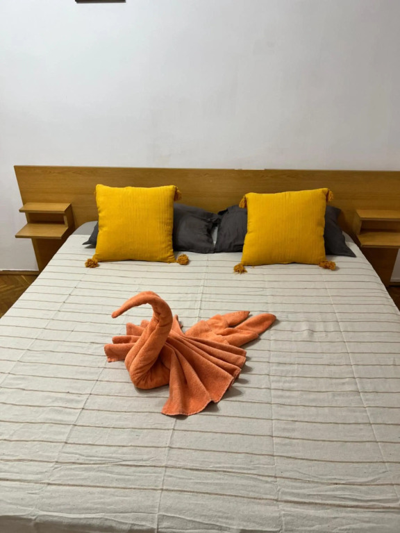 Miha modern and central apartament Malul Mureșului