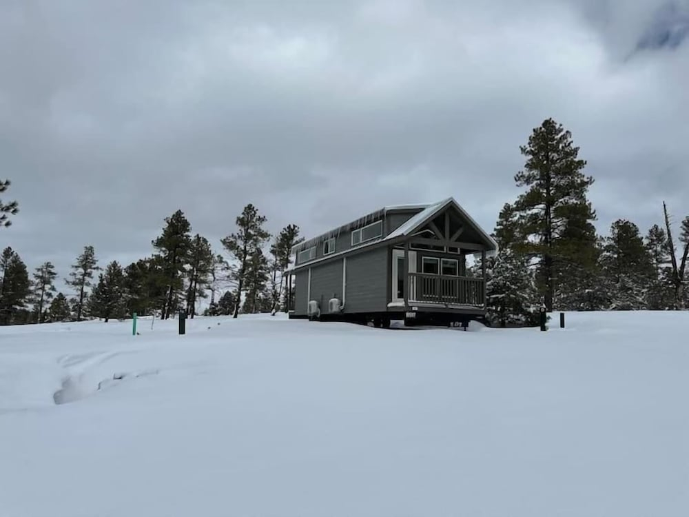Luxury Cabin with Mountain View 4A