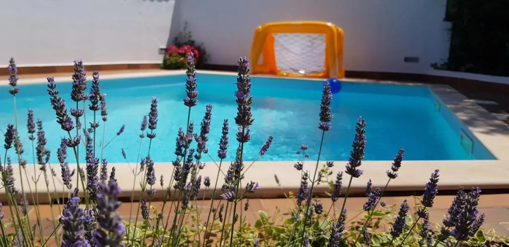 Guest house Bizjak
