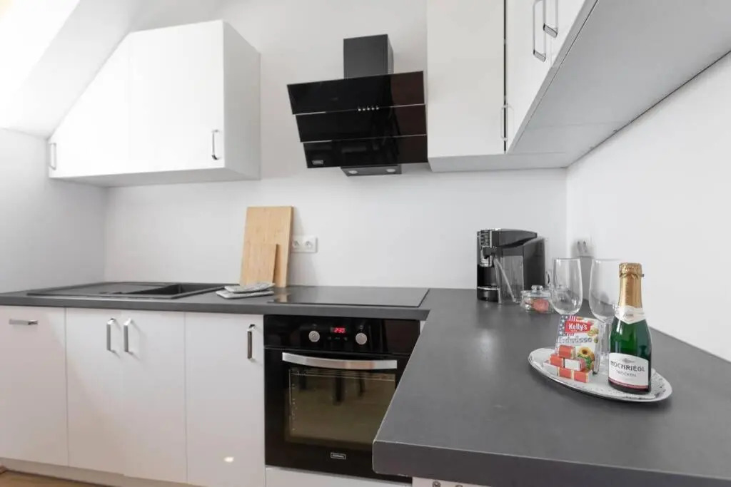 Penthouse near Schoenbrunn with large terrace! N43