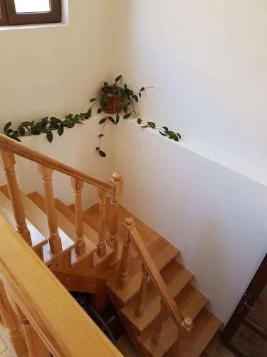 JamarJeti Apartments