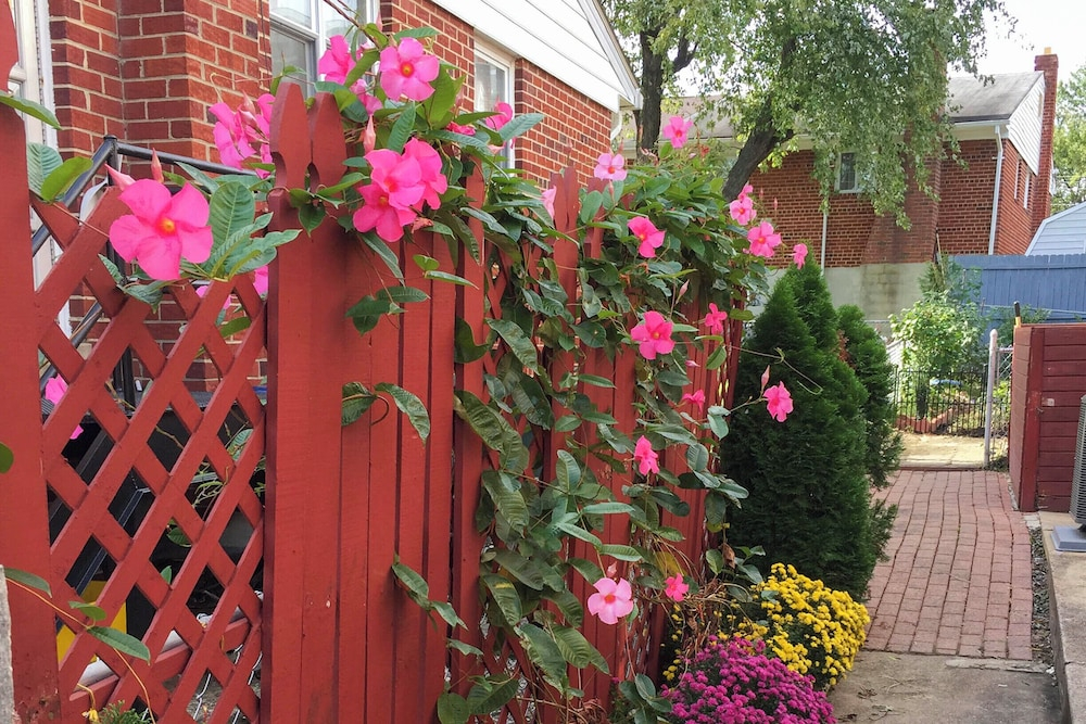 Charming Boutique Home in West End Alexandria!