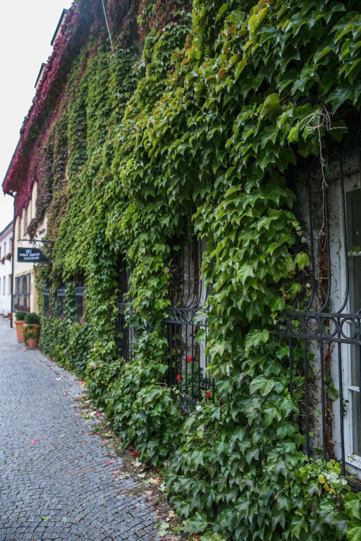 Hotel Tanzberg Mikulov