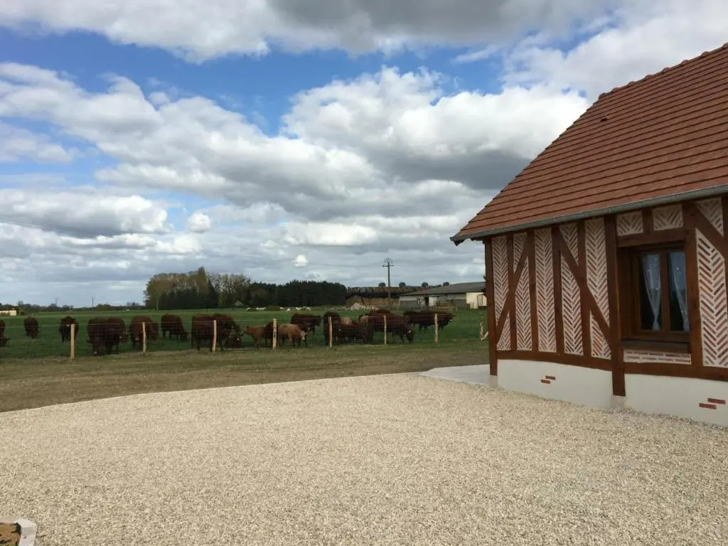 Gîte Muides-sur-Loire, 3 pièces, 4 personnes - FR-1-491-272
