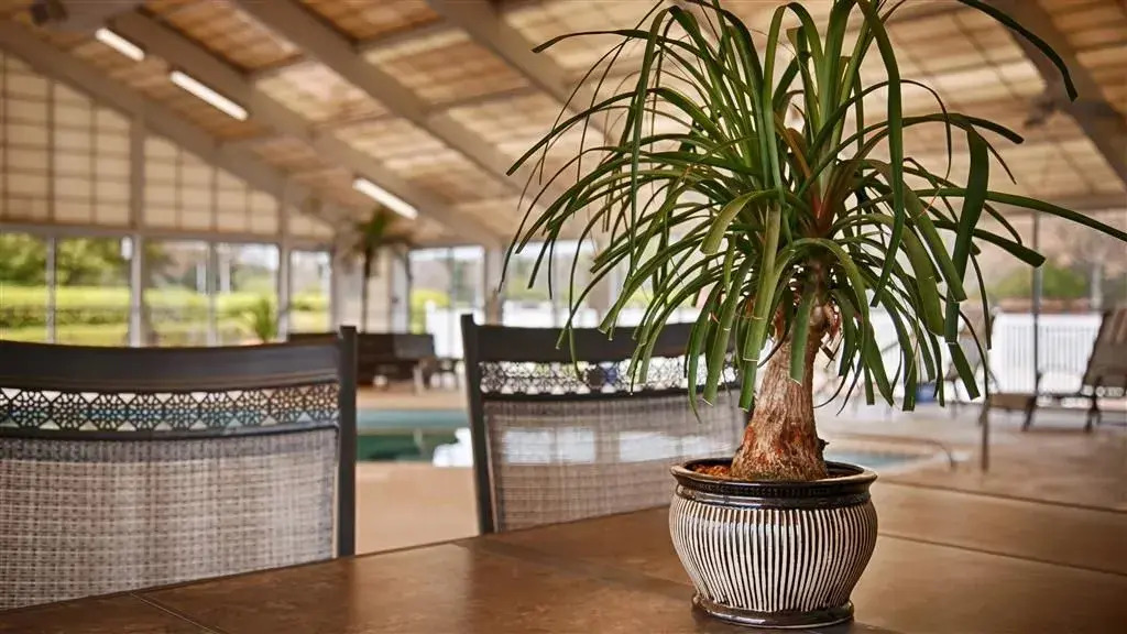Best Western Carlton Suites