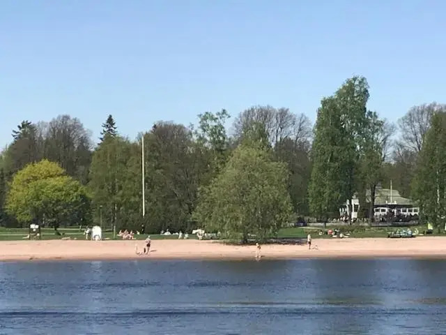 PikkuParlamentti
