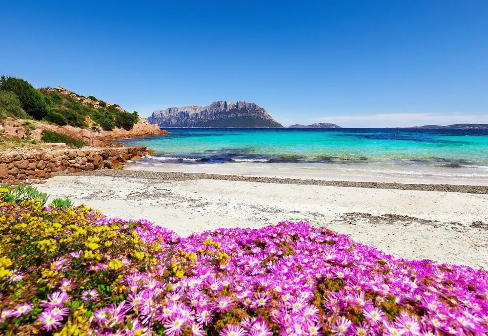Villa Plumbago 80mt From The Beach