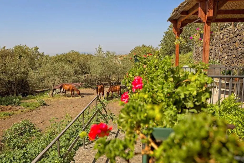Horse House