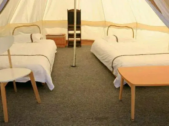 Flower House Girl Desert Camping Base