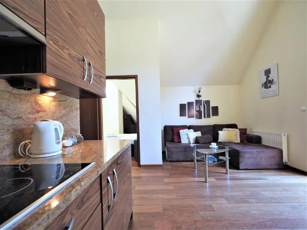VIP Apartamenty Gorące Źródła