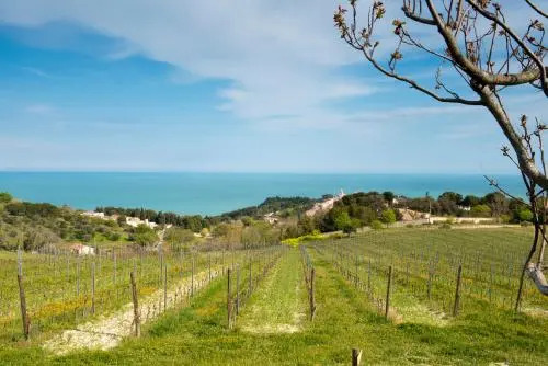 S189 - Sirolo, meraviglioso trilocale vista mare