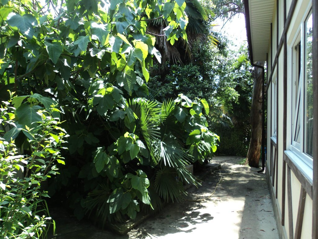 Guest house Uiut