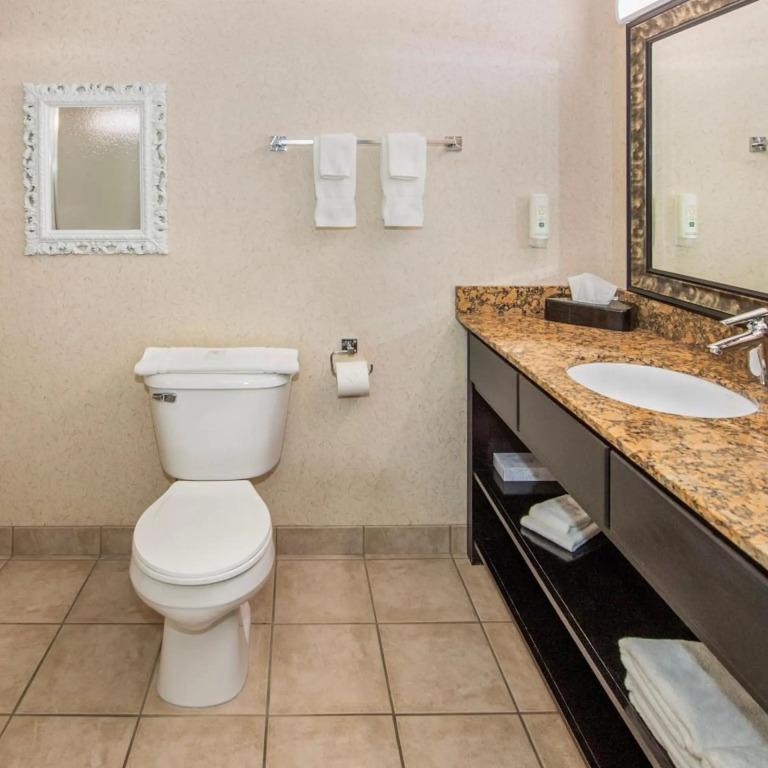 Quality Inn & Suites Lethbridge East
