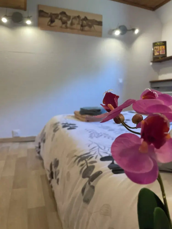 Péniche Le Pescalune - Chambre dhôtes